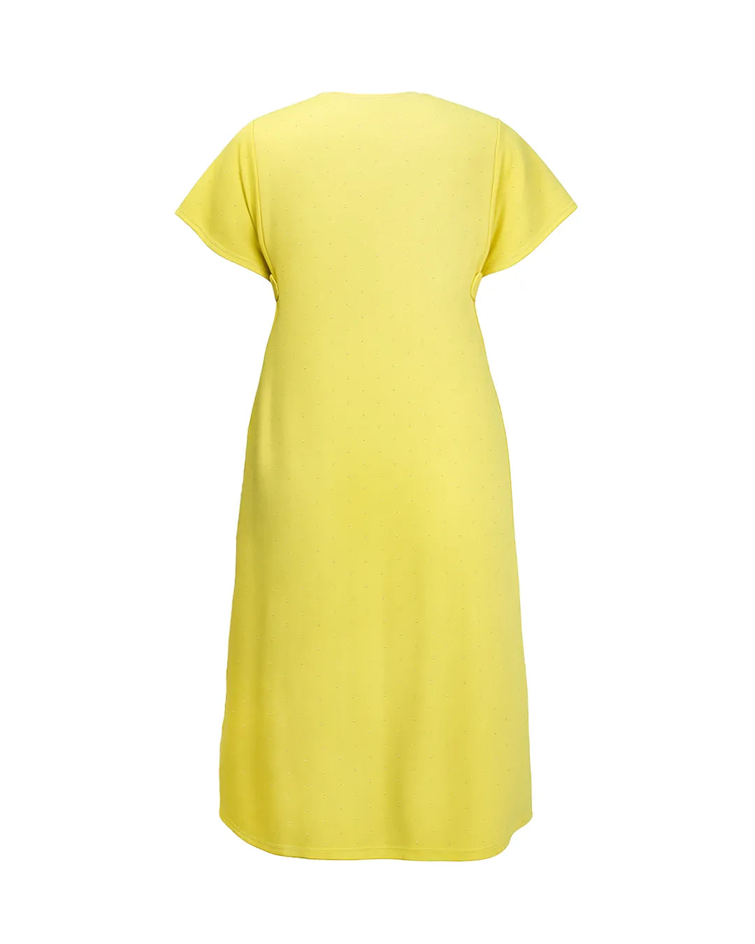 Frill Sleeves Mini Dress