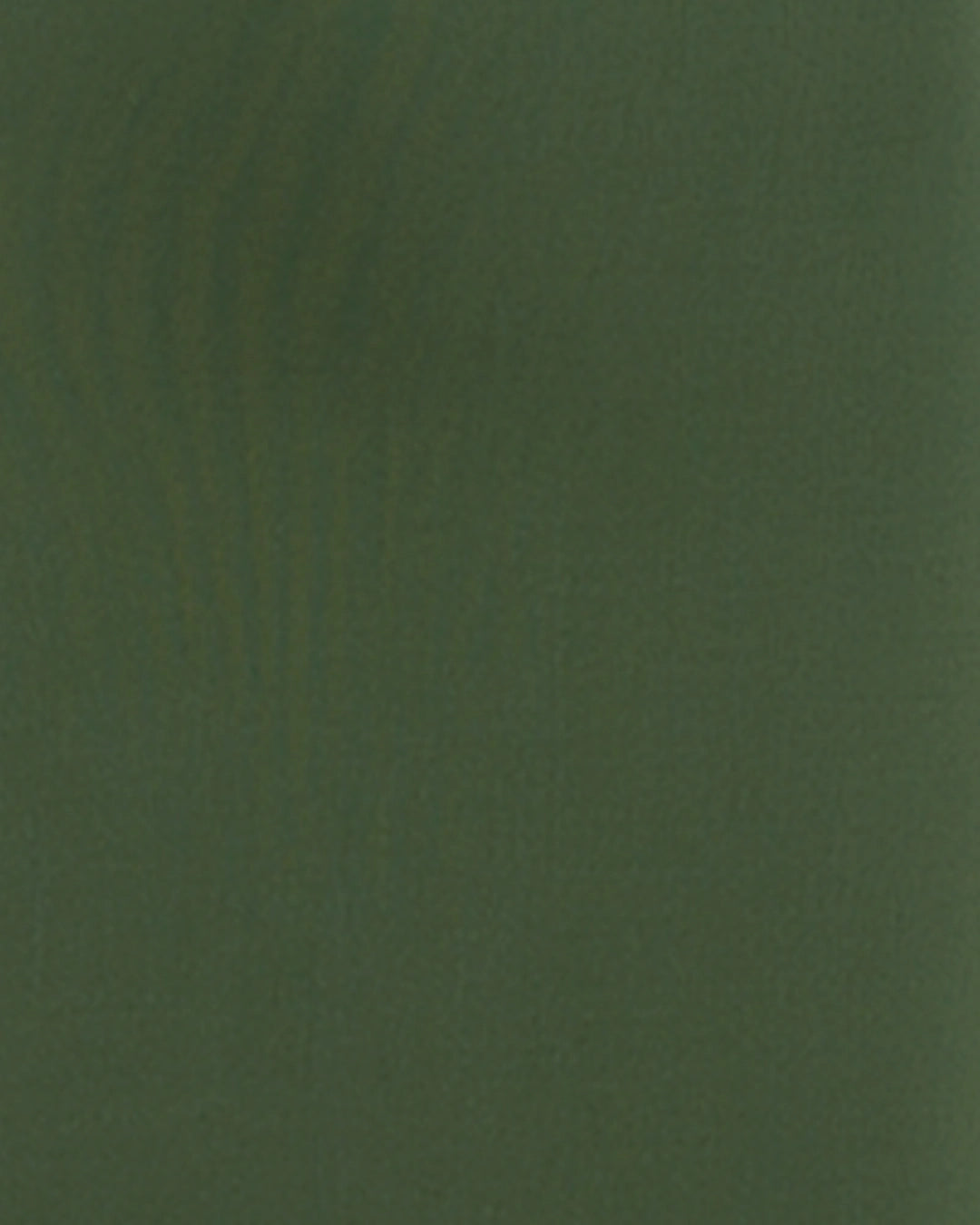 Solid green color swatch