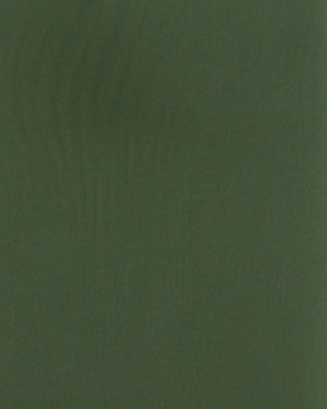 Solid green color swatch