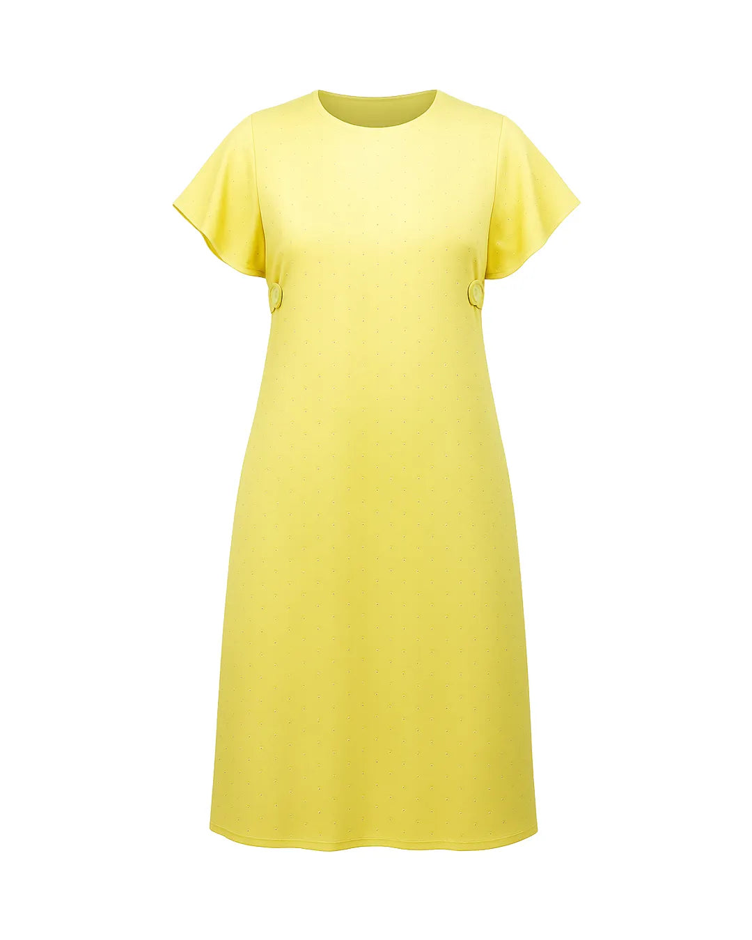 Frill Sleeves Mini Dress