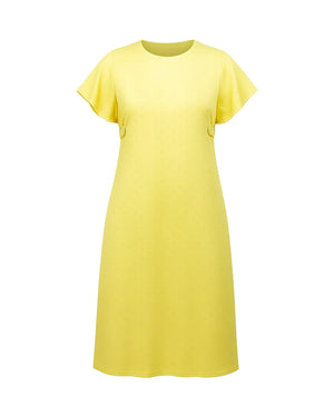 Frill Sleeves Mini Dress