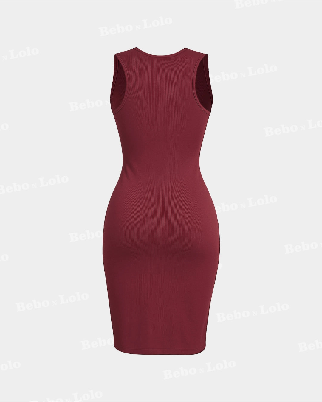 Ombre Elegance Bodycon Dress