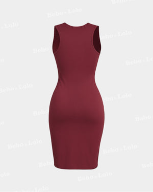 Ombre Elegance Bodycon Dress