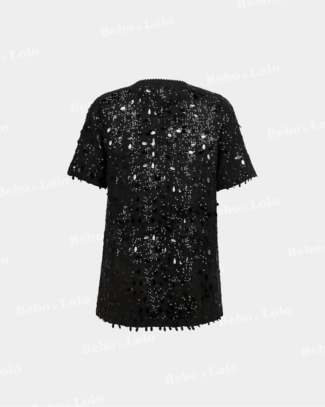 BeboNLolo Radiant Sequin Embellished Dress in black with elegant sequin work – Back View