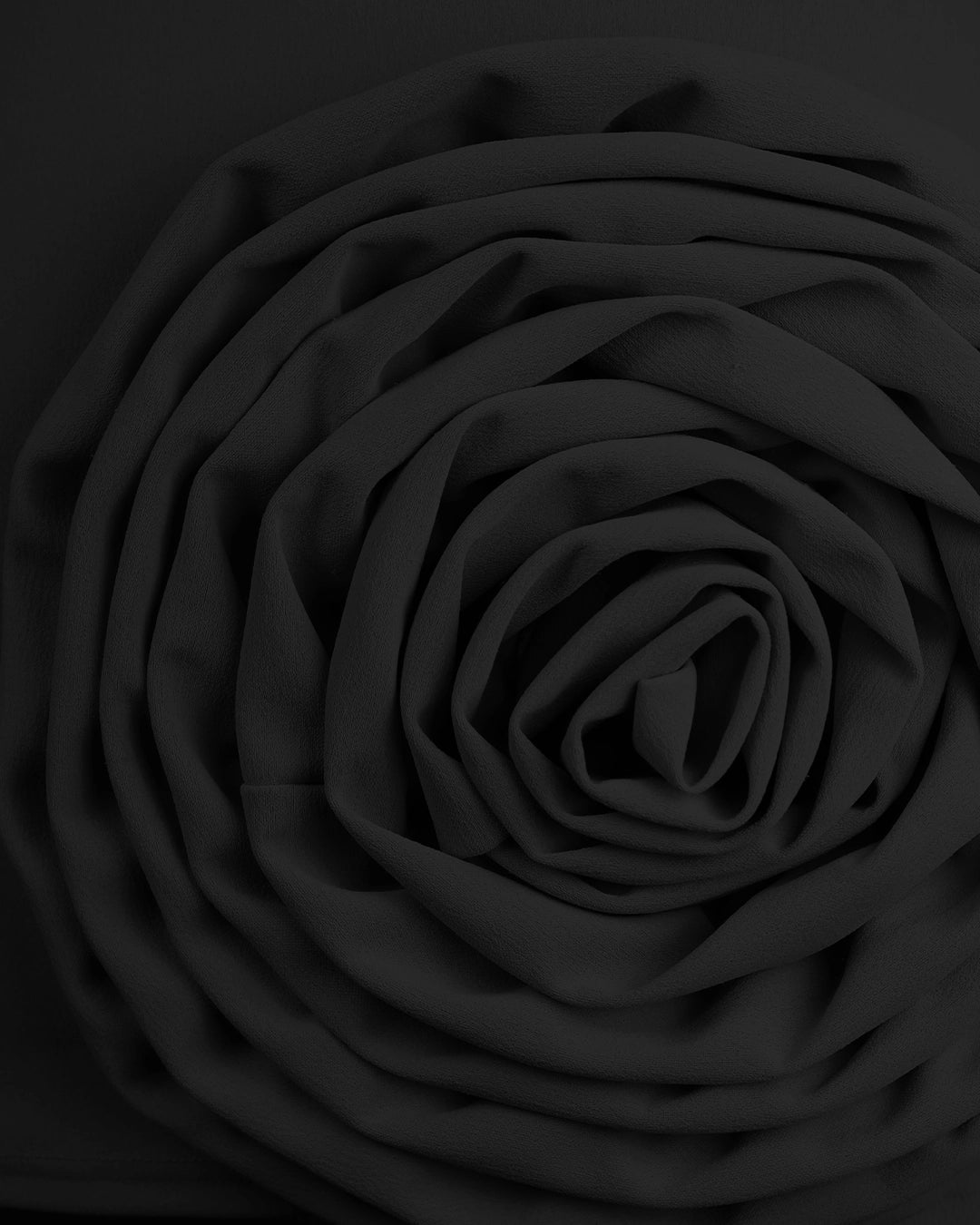 Close-up of a black rose on a dark background
