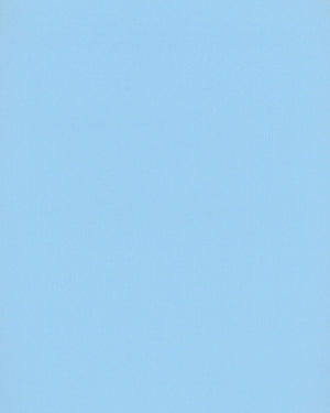 Solid light blue color swatch