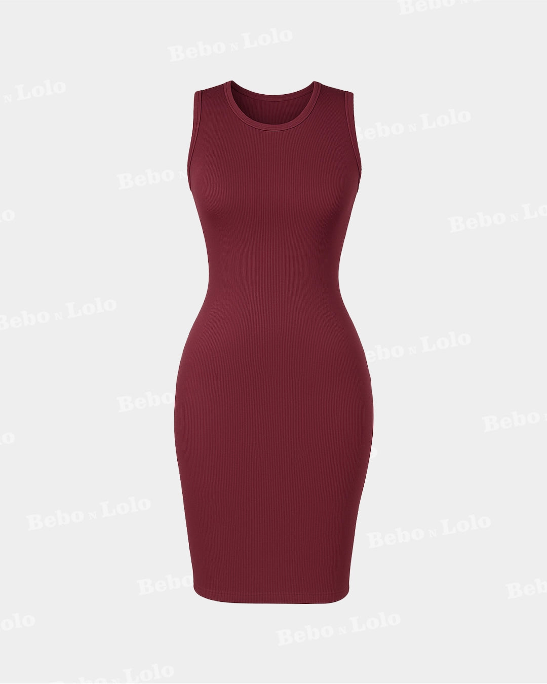Ombre Elegance Bodycon Dress