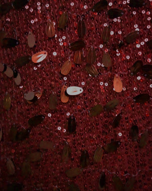 BeboNLolo Radiant Sequin Embellished Dress close-up highlighting maroon sequin work – Close-Up View