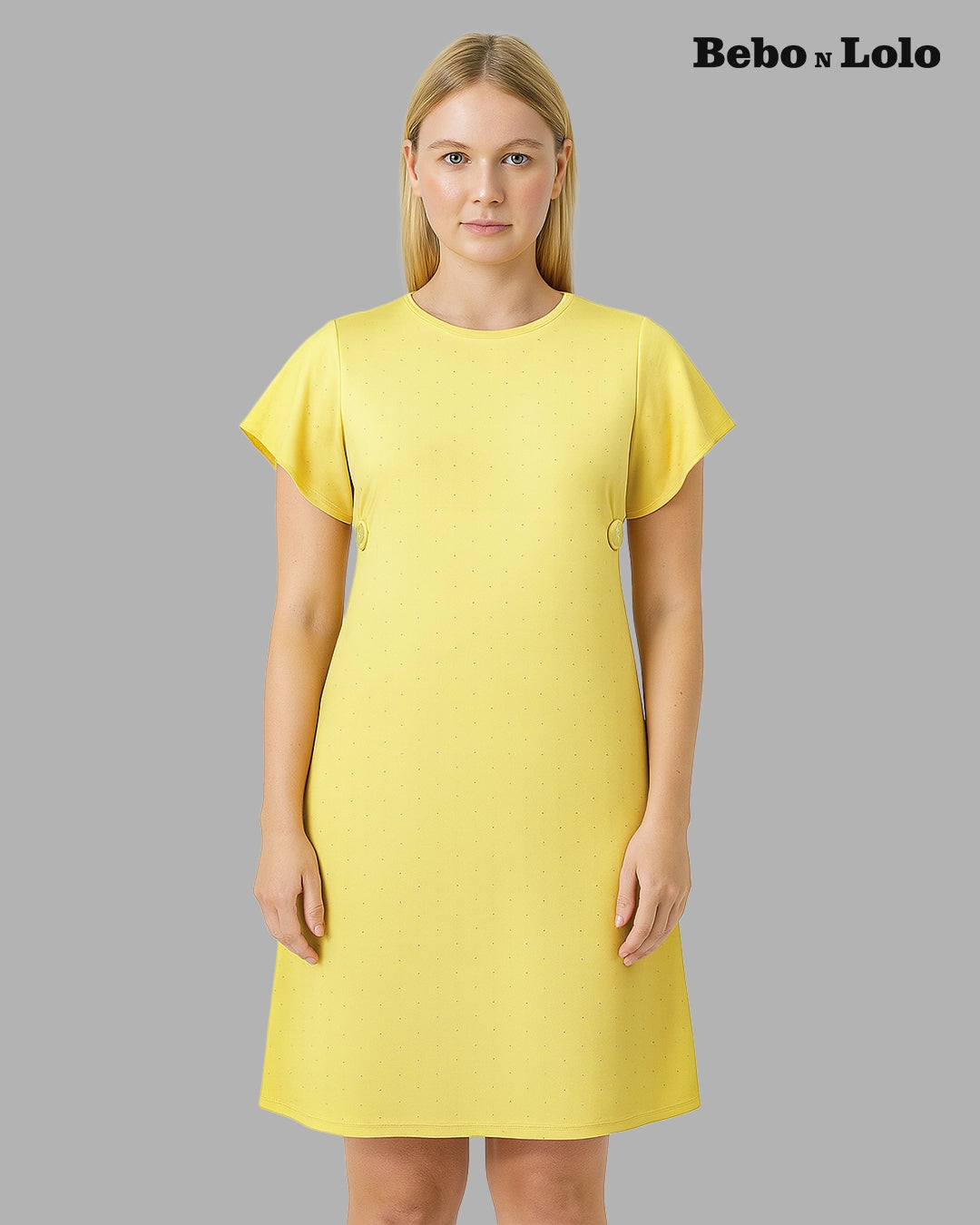 Frill Sleeves Mini Dress